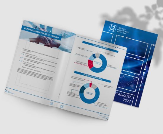 Leidnys Energetikos institutas